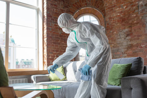 Biohazard Mold Removal in Paincourtville, LA